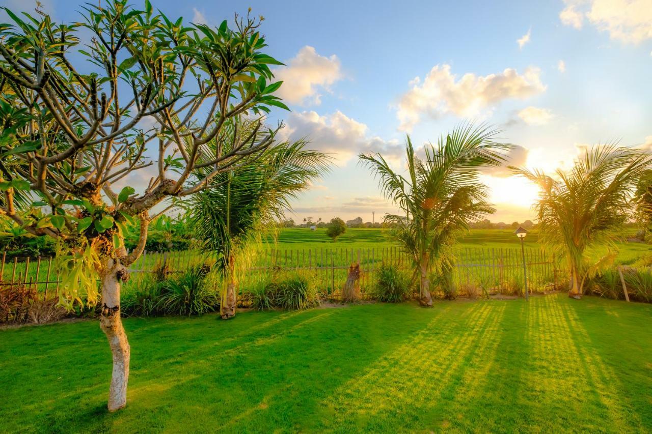 Canggu Wooden Green Paradise Bed & Breakfast Exterior photo